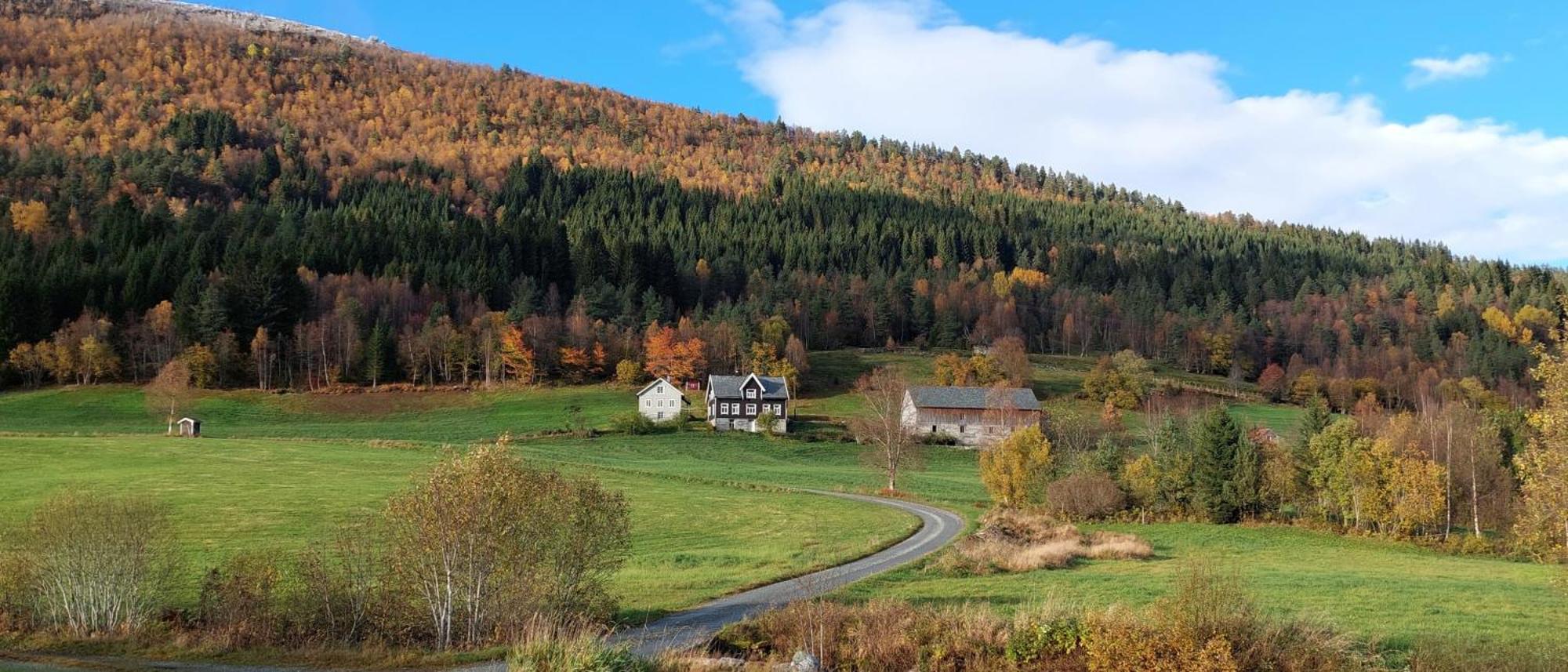 Heggjabygda Gjestegard, Nordfjordeid Exterior photo